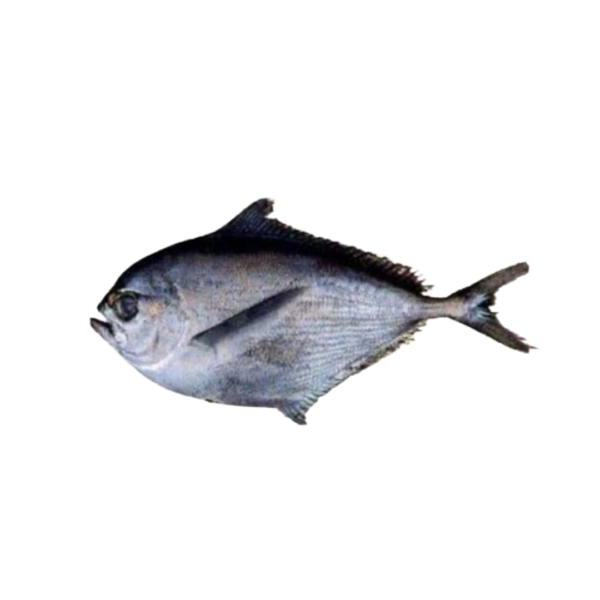 Reineta